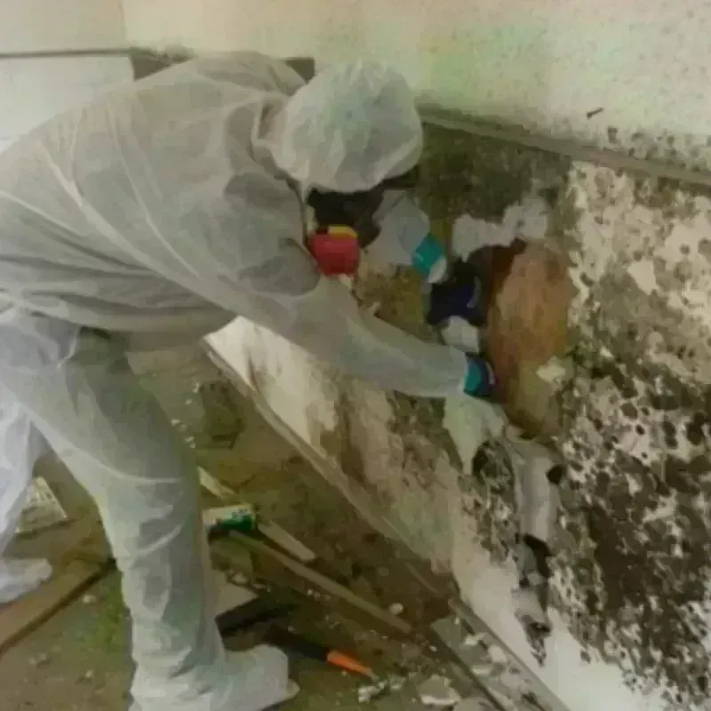 Mold Remediation and Removal in Big Timber, MT