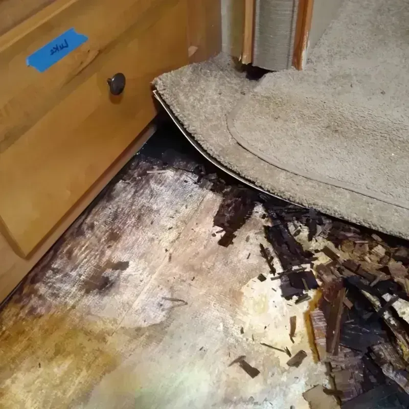 Best Wood Floor Water Damage Service in Big Timber, MT